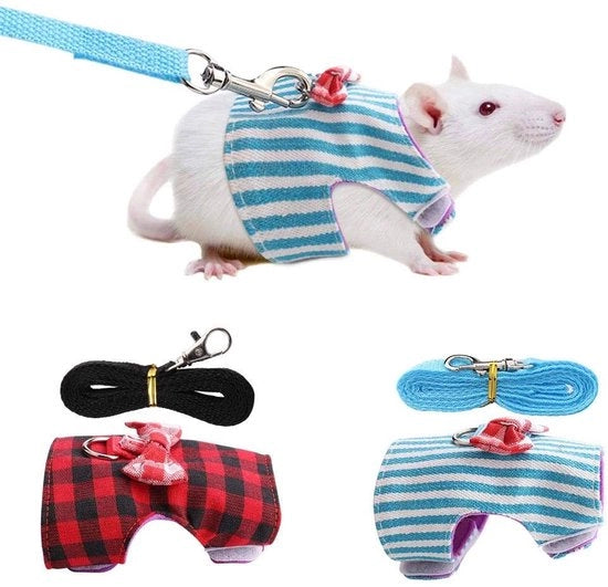 Harnas per Animali Piccoli - Flessibile - Adatto per Gatti - Cinturino per Piccoli Animali - Fret/Cavia/Konijn/Hamster - Materiale Soffice e Sostenibile - Inclusa Fune di Trascinamento