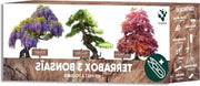 Set per bonsai pronto per crescere 100% semi  (Wisteria Acer Palmatum Picea Abies) – idea regalo per signori e signore zen – giardino miniatura DIY giapponese – decorazione per la casa – realizzato in Francia.