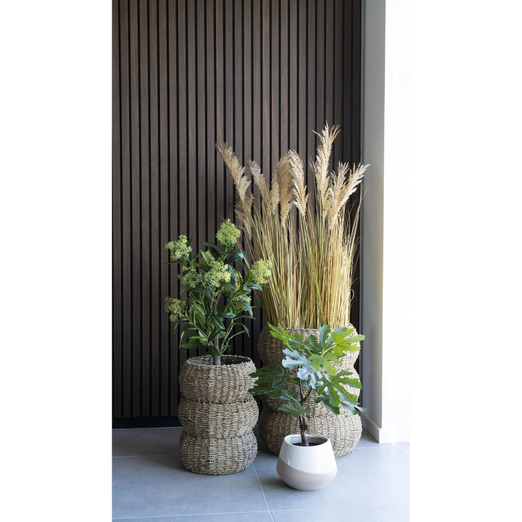 Pianta Artificiale Ficus, Verde, Polietilene, 40x40x60 cm