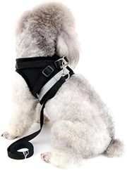 Set di Trattenuta per Cani da Giardino per Piccoli Animali di Compagnia - Riflettente e Sovraccosto