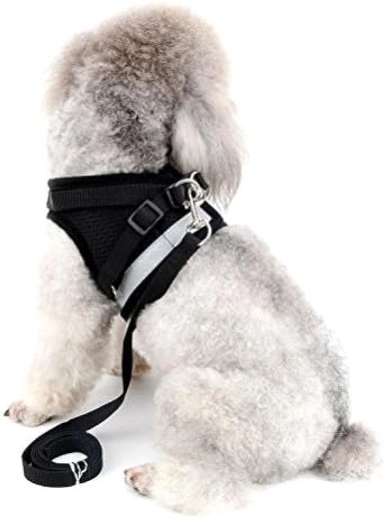 Set di Trattenuta per Cani da Giardino per Piccoli Animali di Compagnia - Riflettente e Sovraccosto