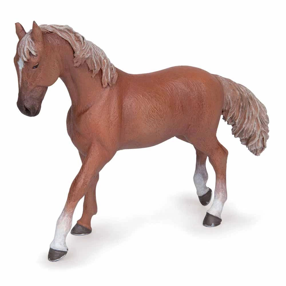 Papo - Alezan English thoroughbred mare
