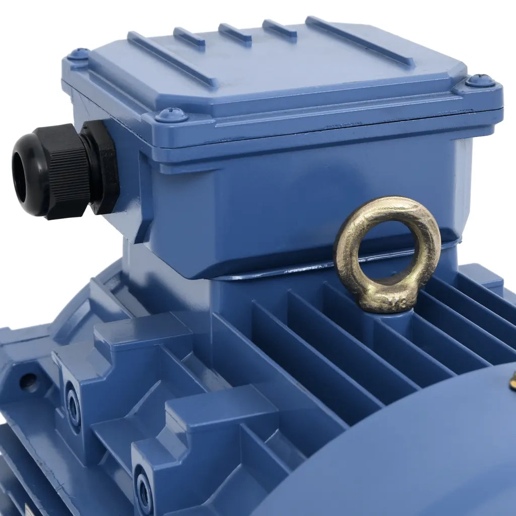 Motore Elettrico Trifase in Alluminio 3kW/4HP 2 Poli 2840 RPM 148005