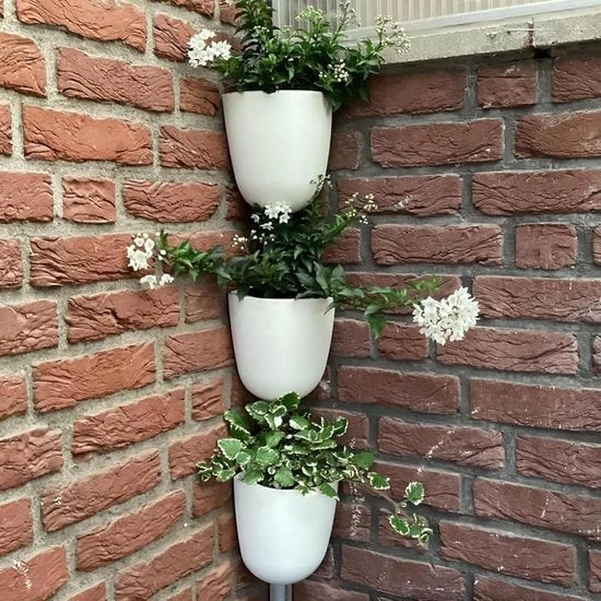 Vaso per piante - Cassetta per piante, angolo appeso, forma triangolare, autoirrigazione, vaso per piante in plastica, contenitore per piante, moderno vaso per piante, decorazione per ufficio e casa - adatto per succulente