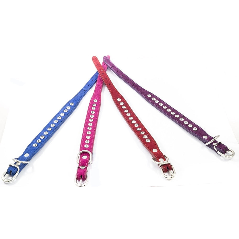 Trade Shop - Collare Per Cane Cani Con Strass E Brillantini Brillantinato Taglia Piccola -