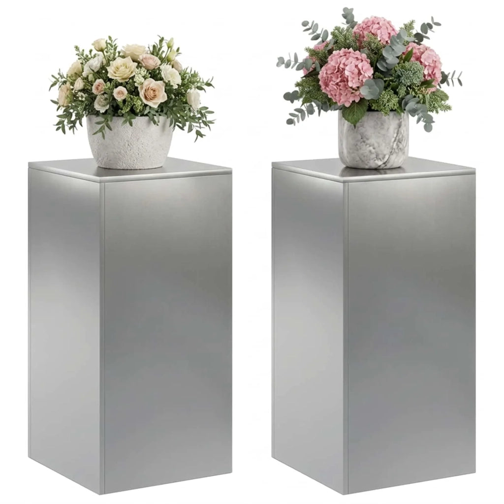 Supporto per piante 2 pcs Argento 40 x 40 x 80 cm Acciaio Inox 8012555