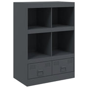 Credenza | Madia | Buffet da pranzo | Armadio da pranzo Antracite 67x39x95 cm in Acciaio