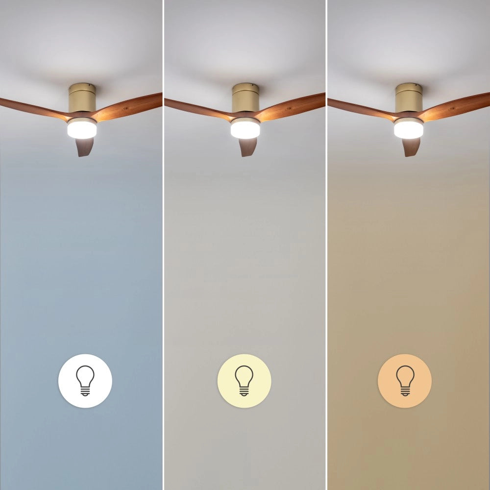 CECOTEC A01_EU01_122148 - EnergySilence Aero 5600 Classic Gold&DarkWood