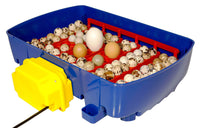 Incubatrice per Uova Automatica Professionale Borotto Real 24