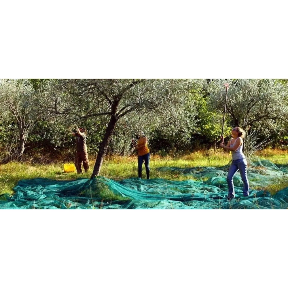 Trade Shop - Set 3pz Rete Per Raccolta Olive Frutta Piantagioni Resistente Durevole 3x6mt Verde 222269 -