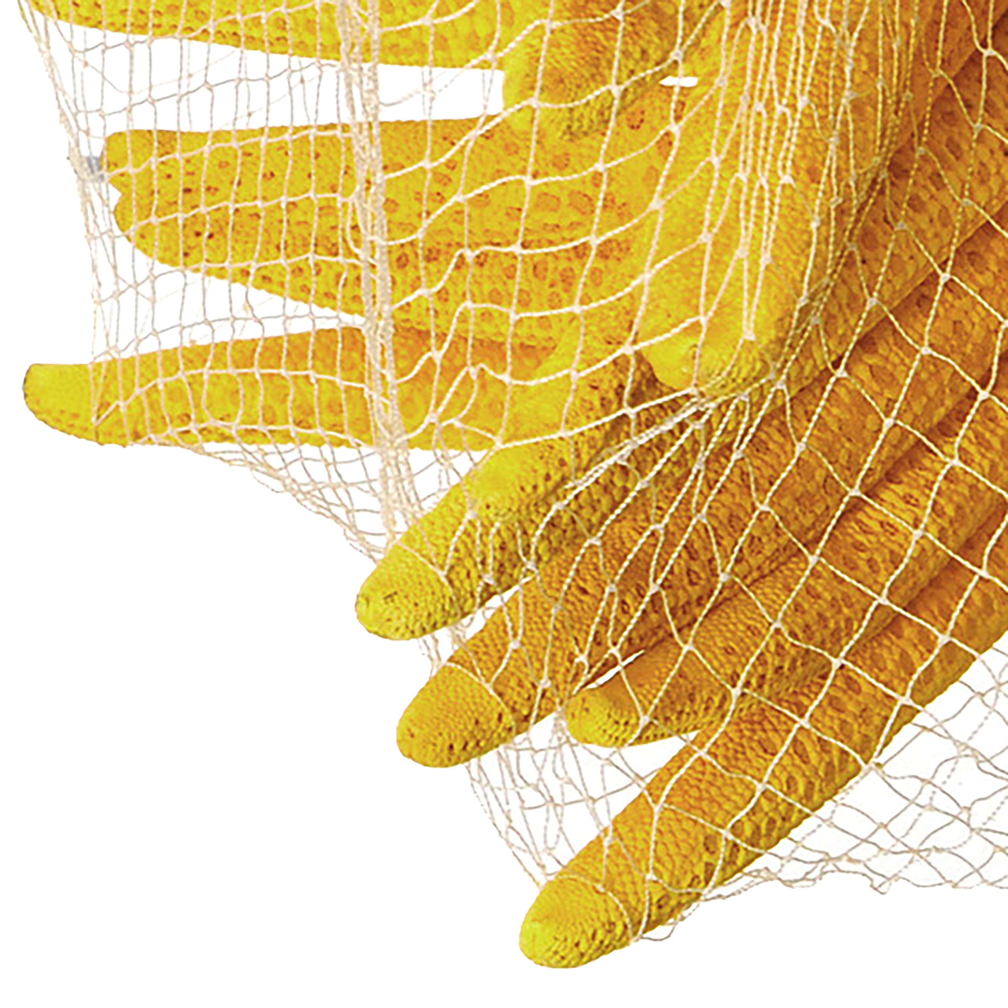 Stelle Marine Colorate 10 Pz 15x20 cm