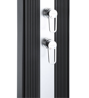 Doccia Solare Ibrida da Giardino 40L Miscelatore e Doccetta Lavapiedi Antracite/Alluminio