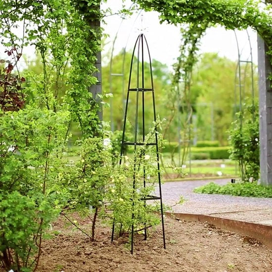 Sostegno per piante / per pomodori, zucchine e piante rampicanti - sostegno per piante 

Arco per giardino Arco per rose / Archi per giardino / Bordo per giardino 

Sostegno per piante Sostegni per piante Sostegno per rose - aiuto per piante rampicanti