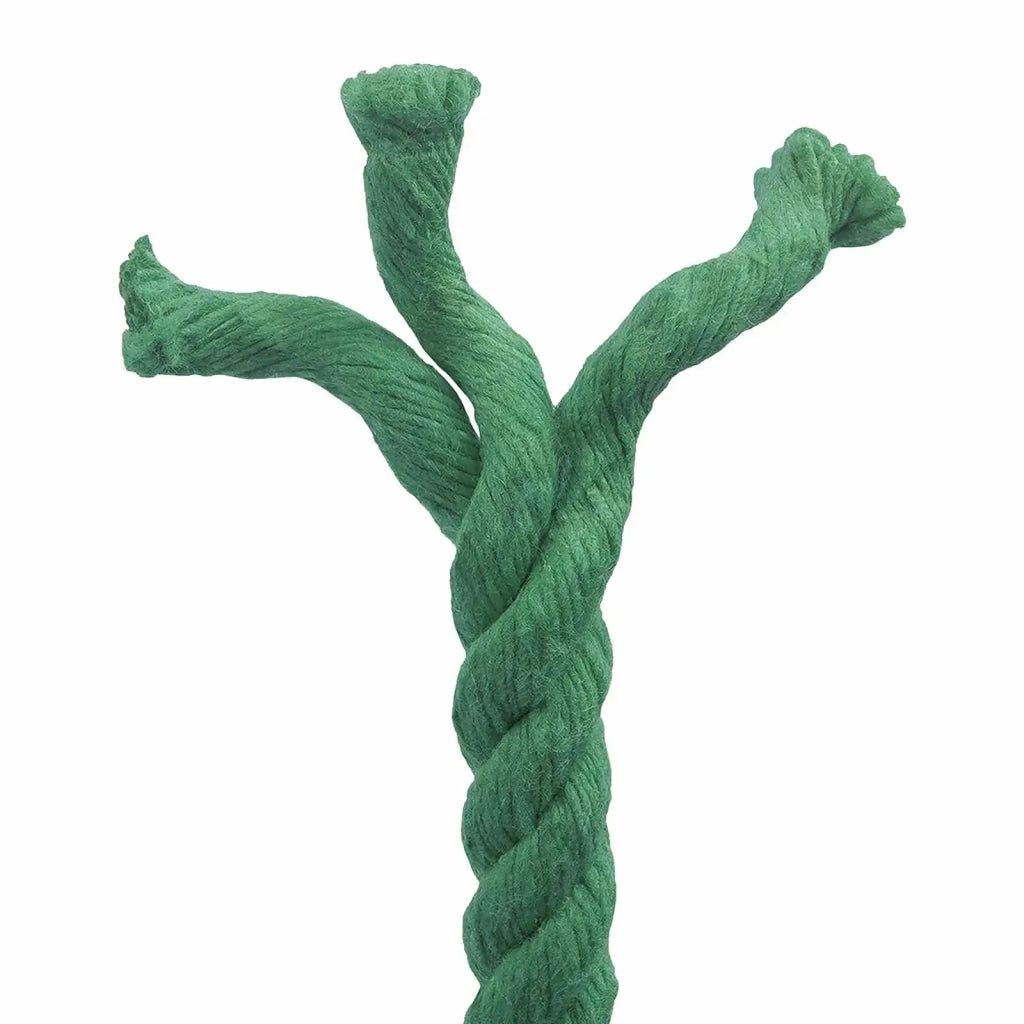 Corda Verde 1,4 x 1,4 x 5000 cm Cotone 42011965