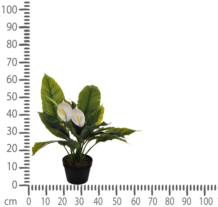 Pianta Artificiale Spathipilium con Vaso H 65 cm