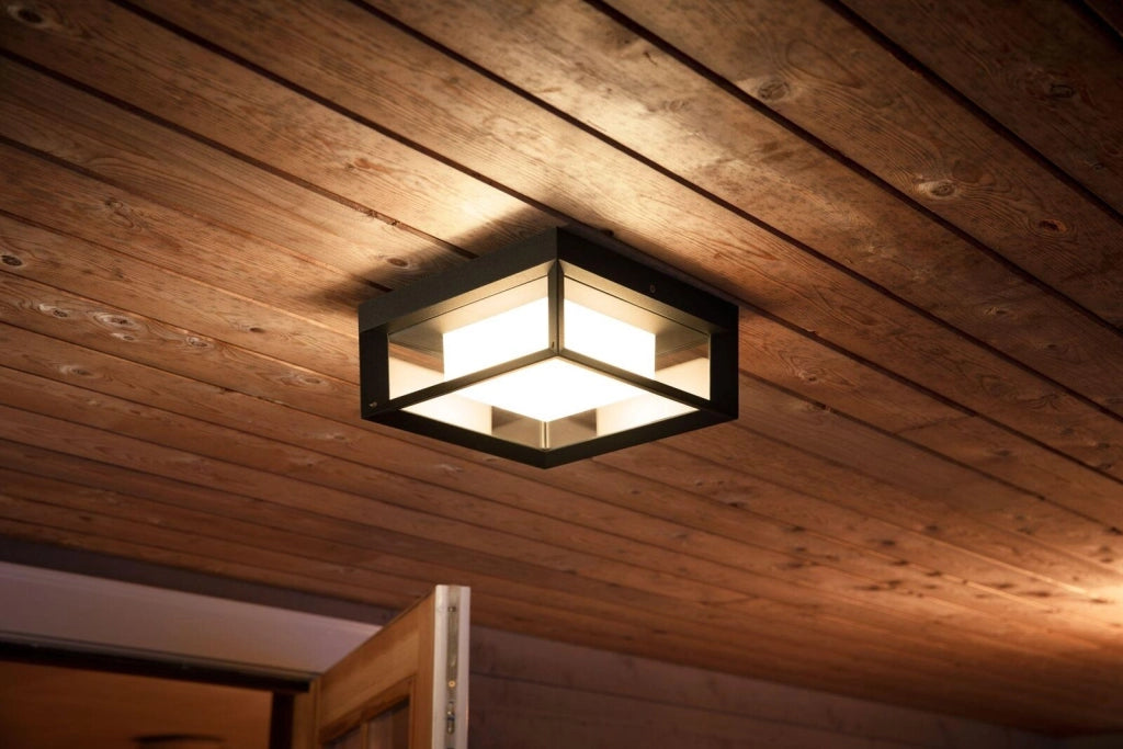 Philips Hue White and Color ambiance Econic Lampada Smart da parete/soffitto Nero