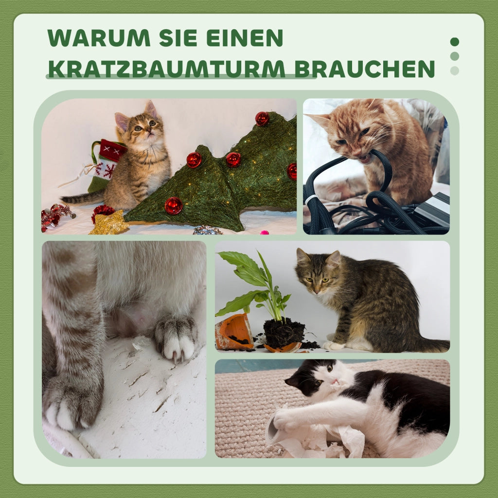 Albero tiragraffi per gatti con lettino e piattaforma ¨C zephmum ¨C 91cm lana verde
