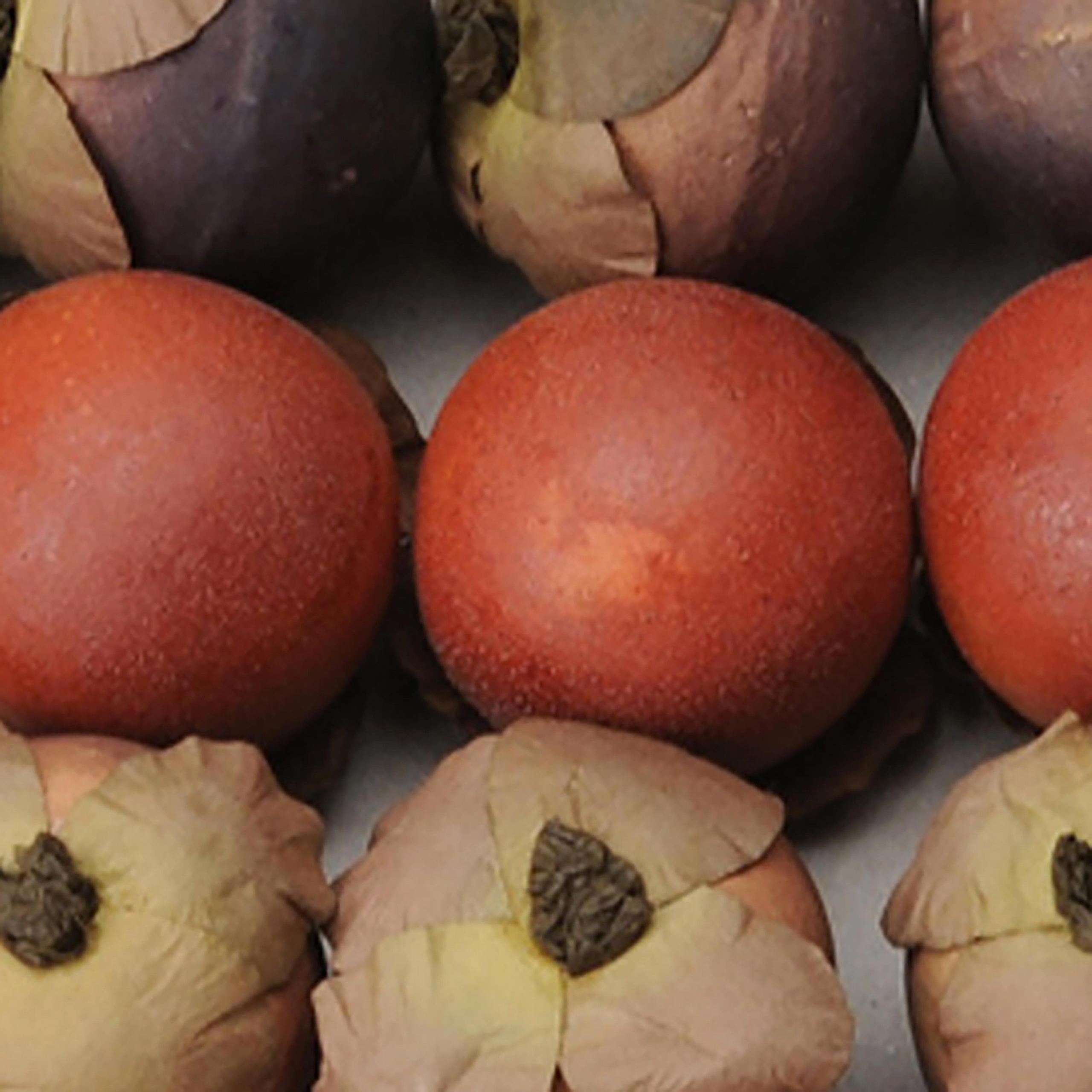 Set 6 Sorbe Artificiale 20 Pezzi Larghezza 3,5 cm