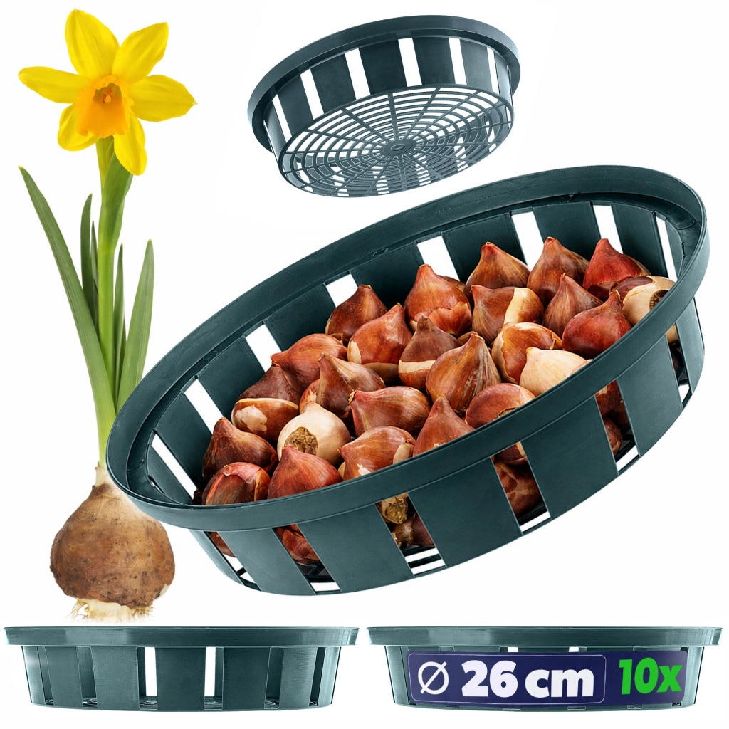 Cesti KADAX per piantare tulipani e bulbi da fiore, 22 cm, 10 pezzi
