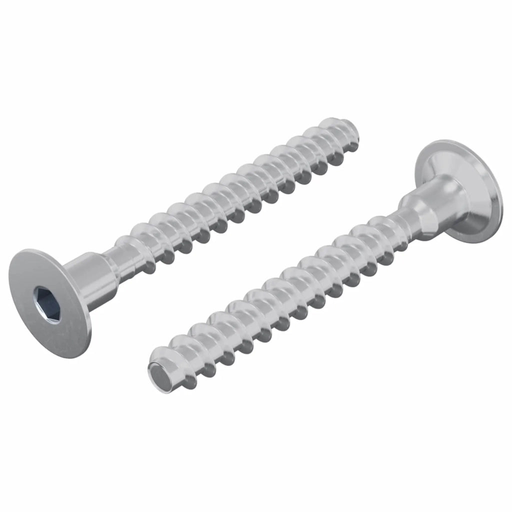 Vite 2 pz Zincato 5 x 40 mm Ferro CFW7281118