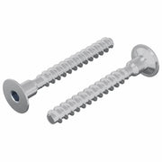 Vite 2 pz Zincato 5 x 40 mm Ferro CFW7281118