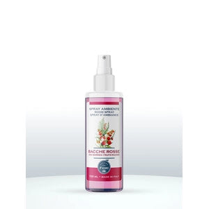 SPRAY AMBIENTE OFFICINA DEI FIORI 150ML BACCHE ROS- 12,0 pz