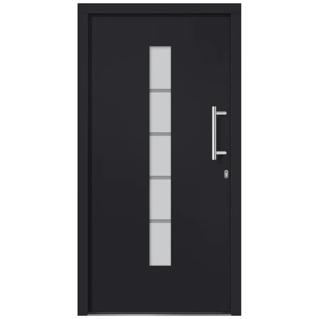 Porta d'Ingresso in Alluminio e PVC Antracite 100x200 cm cod mxl 59110