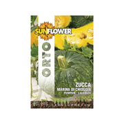 Sementi Zucca Marina Di Chioggia Sunflower
