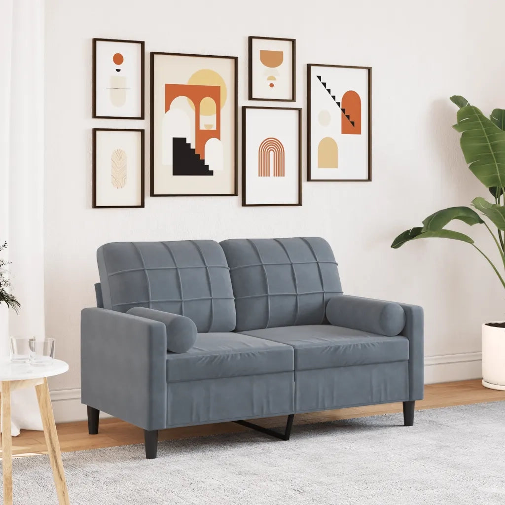 Divano a 2 Posti con Cuscini-Sofa 2 Posti con Cuscini Grigio Scuro 120 cm in Velluto 650388
