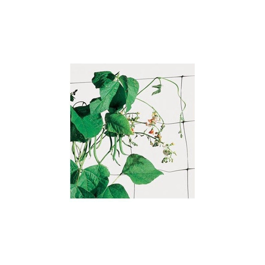 Tenax Flora Rete per Rampicanti Plastica Stabilizzata UV Maglia 150x170 mm 2x20 m colore Verde