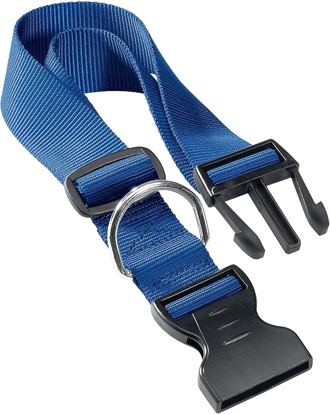 COLLARE PER CANI 'CLUB C' mm 15 x cm 30÷44 - Col. Blu - FERPLAST