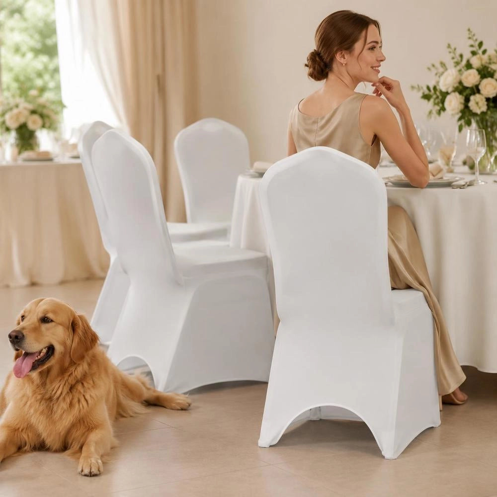 6 X Chair Cover Stretch Cover White