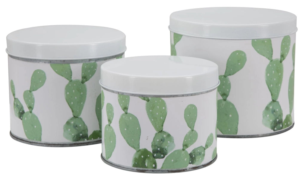 Cofanetti in Latta Cactus Set 3 Pz Ø15x13,5-14x11,5-12,5x10 cm in Ferro Bianco, Verde