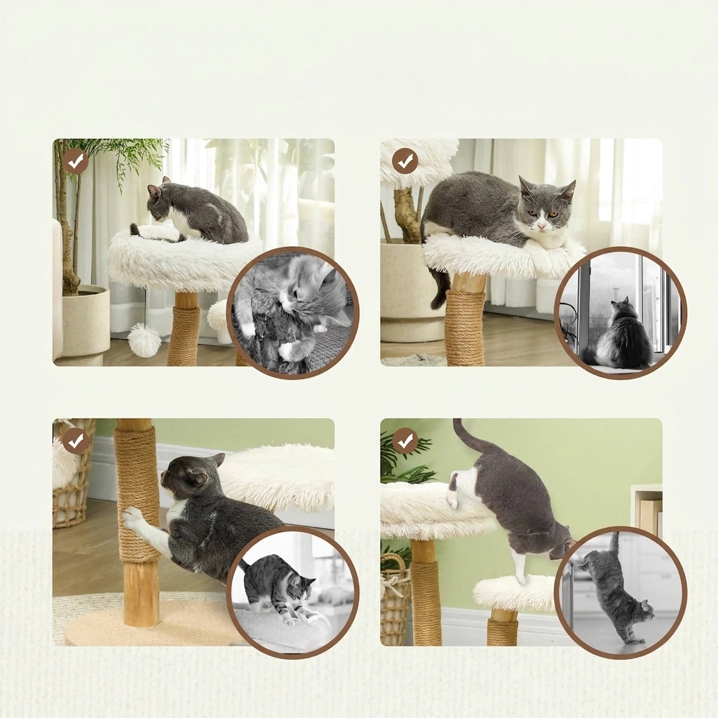 Albero per Gatti in Legno con Tiragraffi e Pallina; 61;5 cm; Bianco