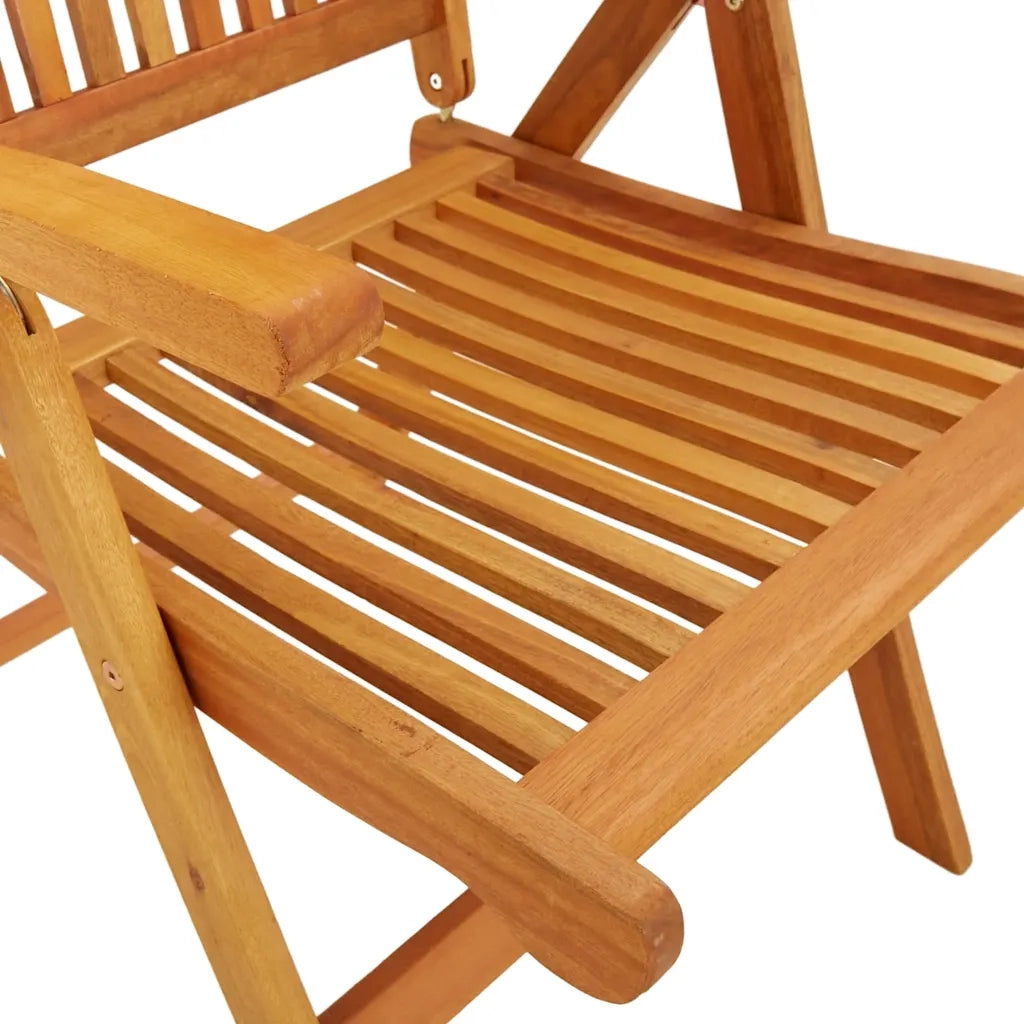 Sedie da Giardino Pieghevoli 2pz in Legno Massello di Eucalipto 316069