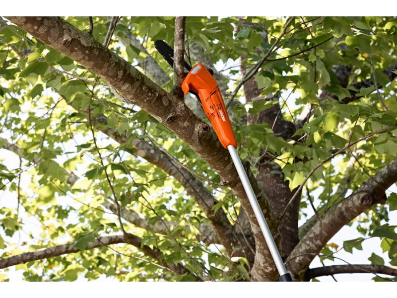 Potatore con asta Echo DPPF-310 barra 20cm senza batteria e carica