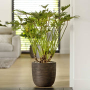 Vaso Rotondo Nature Rib 43x41 cm Marrone Scuro