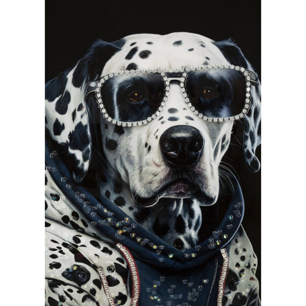 Stampa su Tela Dalmata, Multicolore, Legno, 53x3x73 cm