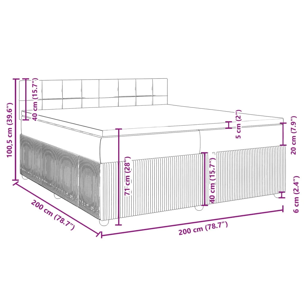 Giroletto a Molle con Materasso-Struttura Letto Grigio Scuro 80x200 cm Velluto 155574