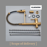 Bernd | Filtro oro opaco  3 vie gastronomia Rubinetto cucina amolla in acciaio inossidabile osmosi|Miscelatore da ristorante ruotabile 360°