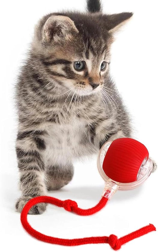 Giocattolo interattivo per gatti - giocattolo per gatti da interni - giocattolo per gatti adulti - pallone intelligente per gatti con luce LED - pallone per animali domestici con sensore di movimento.