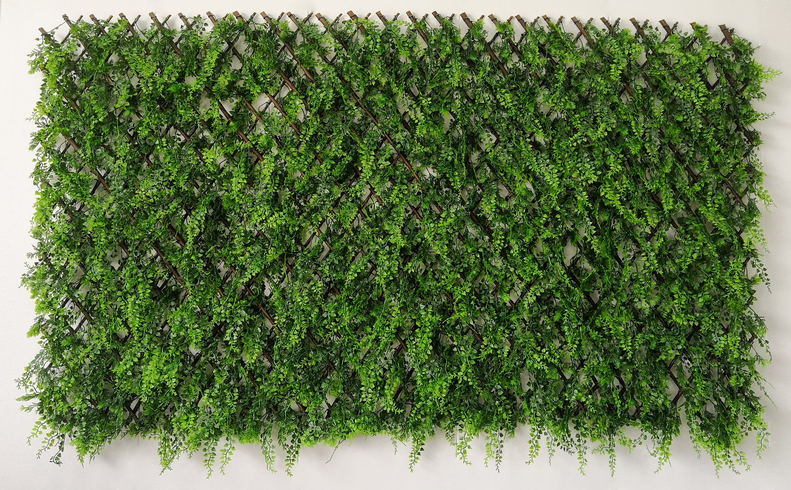 arella con steccato+erba sempreverde mt.1x2 cod:ferx.99374