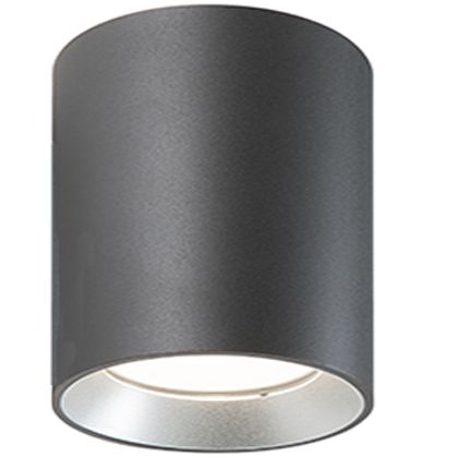 Show - Plafoniera Cilindrica Da Soffitto A  Led 40W A Luce Fredda Colore Grigio