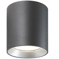 Show - Plafoniera Cilindrica Da Soffitto A  Led 40W A Luce Fredda Colore Grigio