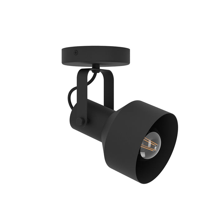 Plafoniera Moderna Casibare 1 Luce Acciaio Nero