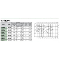 GRUPPO DI SOLLEVAMENTO DAB CON 2 POMPE BIGIRANTI K MOD. 2 K90/100 T 