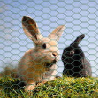 Rete metallica verde per voliere maglie da 25x25mm rotolo 60cmx25m Rete per recinti