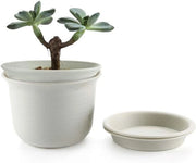Set di due vasi di plastica per piante con disco di protezione diametro 18.3 cm Piccoli vasi per piante con fori di drenaggio Pianta rotonda per piante da interni e esterni Succulente Cactus