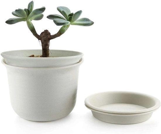 Set di due vasi di plastica per piante con disco di protezione diametro 18.3 cm Piccoli vasi per piante con fori di drenaggio Pianta rotonda per piante da interni e esterni Succulente Cactus