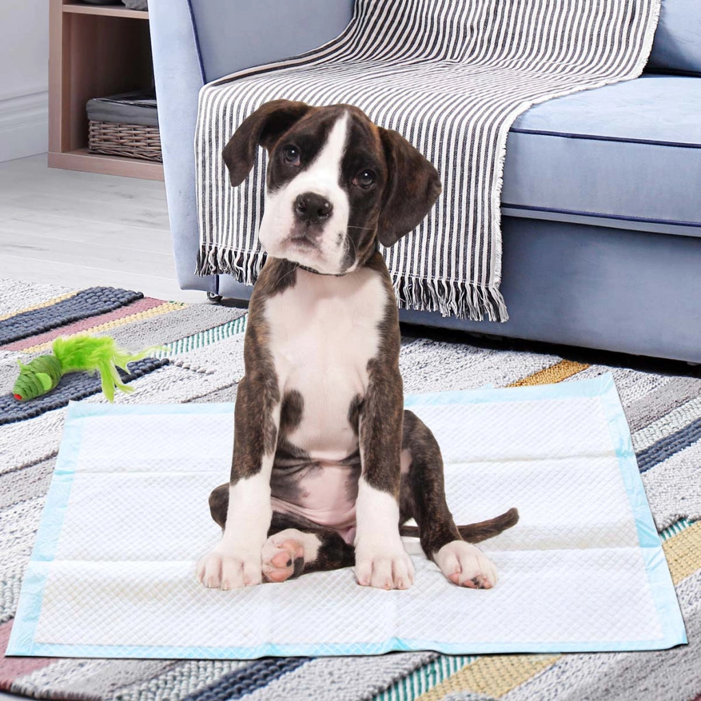 Traverse usa e getta con controllo odore, Pannolini per cani gatti conigli con asciugatura rapida 60 x 90 cm-Giochi e accessori per cani